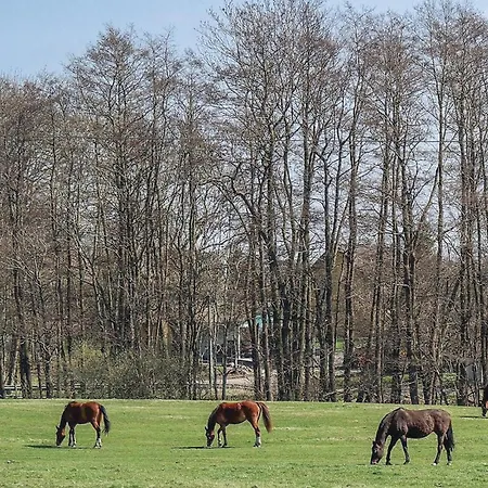 In Ahrenshagen Ot Casa vacanze Tribohm